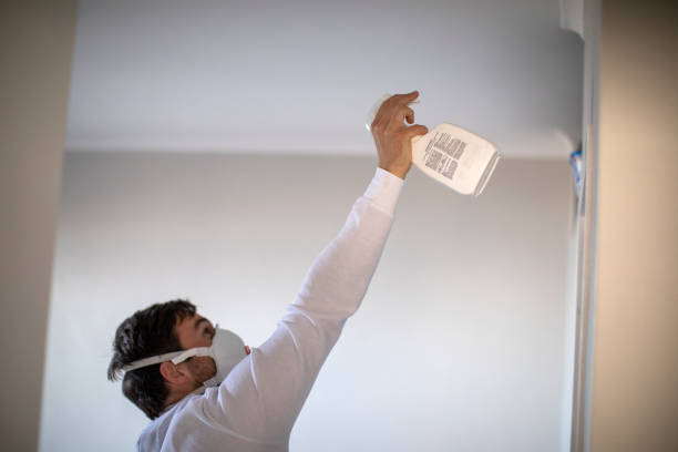 Best Residential Mold Remediation in Alpharetta, GA