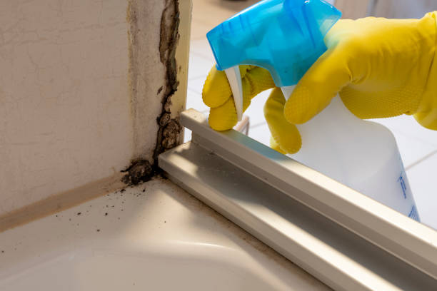 Best Industrial Mold Remediation in Alpharetta, GA