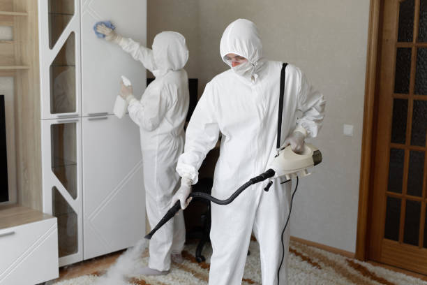 Best Mold Testing and Inspection Services in Alpharetta, GA