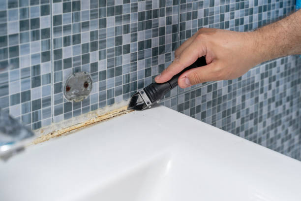 Best Bathroom Mold Remediation in Alpharetta, GA