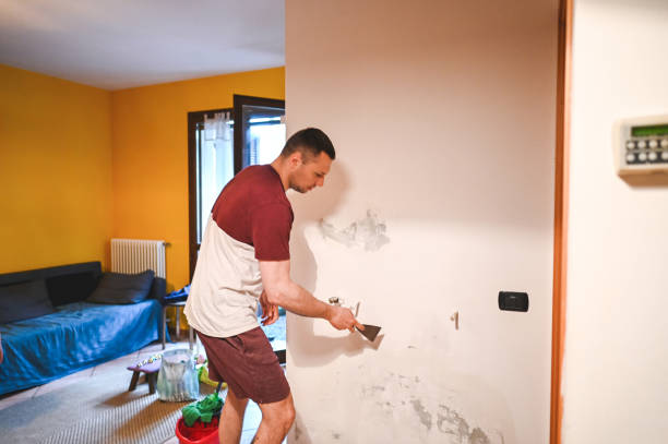 Best Commercial Mold Remediation in Alpharetta, GA